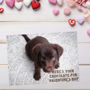 Chocolate Lab Puppy Valentine's Day Meme Card at Zazzle