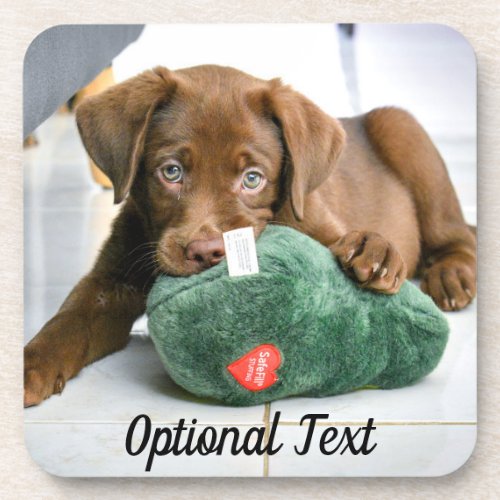 Chocolate Lab Puppy with a Toy Beverage Coaster