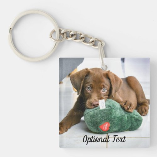 Chocolate Lab Puppy with a Toy Keychain