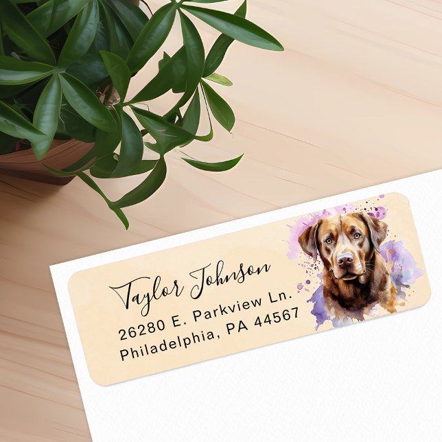 Chocolate Lab Return Address Label (Creator Uploaded)