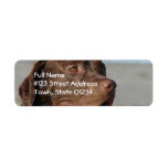 Chocolate Lab Return Address Mailing Label