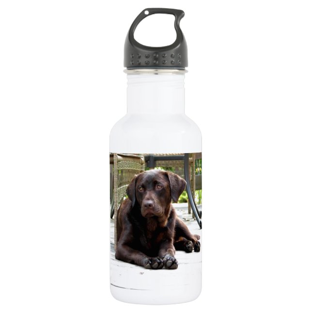 Chocolate Lab Stainless Steel Water Bottle (Front)