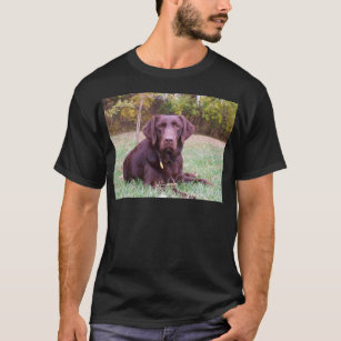 chocolate lab t shirt