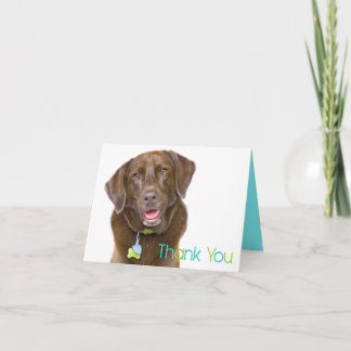Chocolate Lab Thank You Card