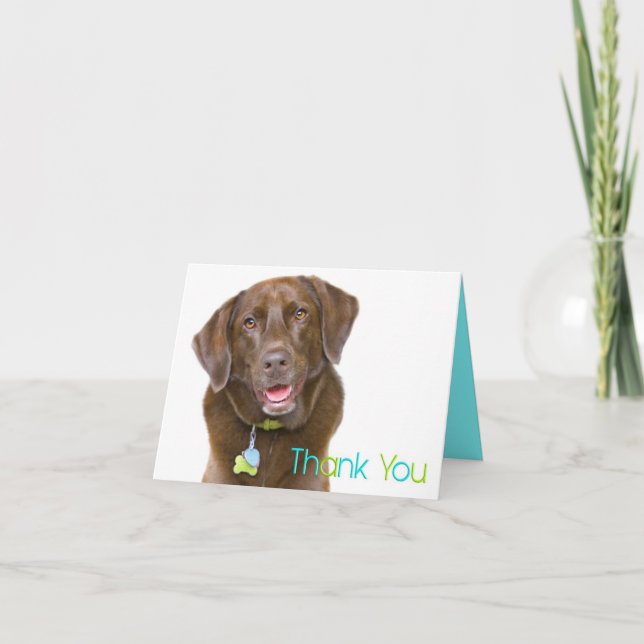 Chocolate Lab Thank You Card (Front)