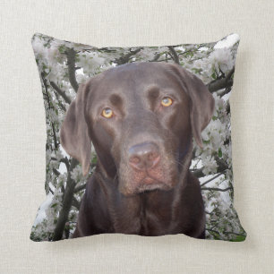 Chocolate Lab Throw Pillow