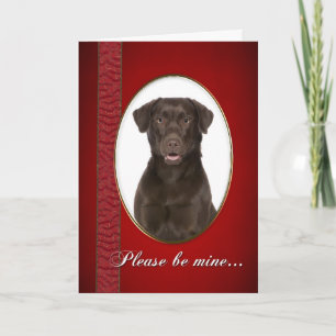 Chocolate Lab Valentine Holiday Card