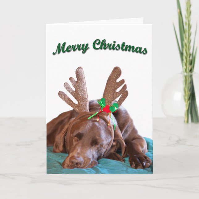 Chocolate Lab Wearing Antlers Photograph Custom Holiday Card (Front)
