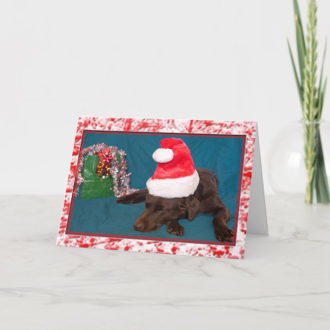 Chocolate Lab Wearing Santa Hat Photograph Holiday Card (Front)