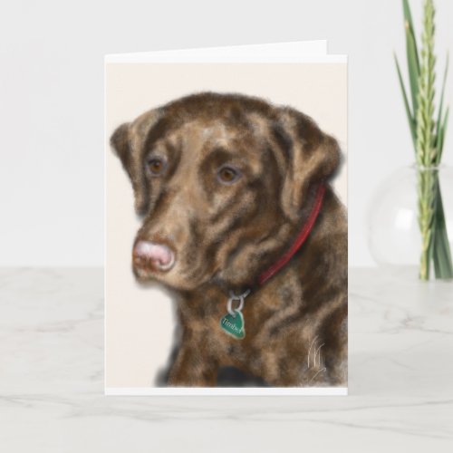 Chocolate lab with a red collar holiday card