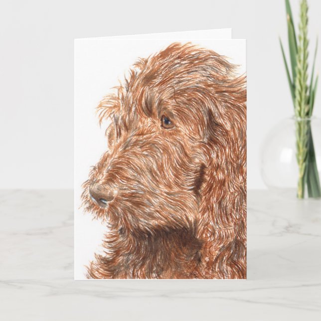 Chocolate Labradoodle #2 Greeting Card (Front)