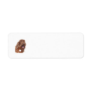 Chocolate Labradoodle Label