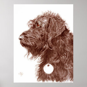 Chocolate Labradoodle Print