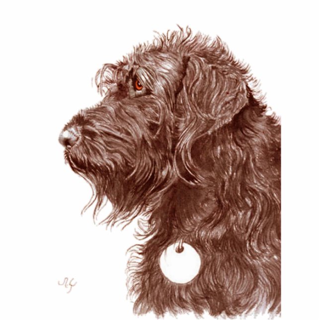 Chocolate Labradoodle Sculpture (Front)