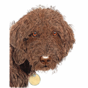 Chocolate Labradoodle Sculpture
