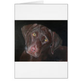 Chocolate Labrador (Front)