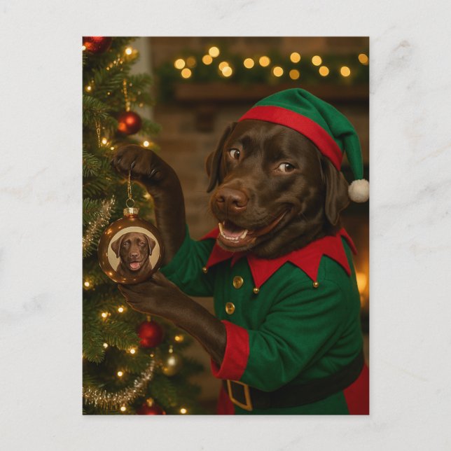 Chocolate  Labrador and bauble Christmas postcard (Front)