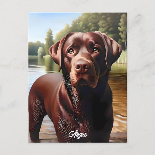 Chocolate Labrador and Lake Postcard