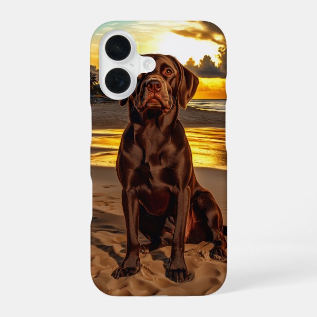 Chocolate Labrador at Sunset Iphone Case (Back)