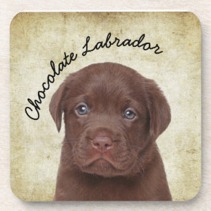 Chocolate Labrador Beverage Coaster