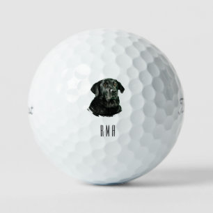 Chocolate Labrador Black Lab Golf Balls