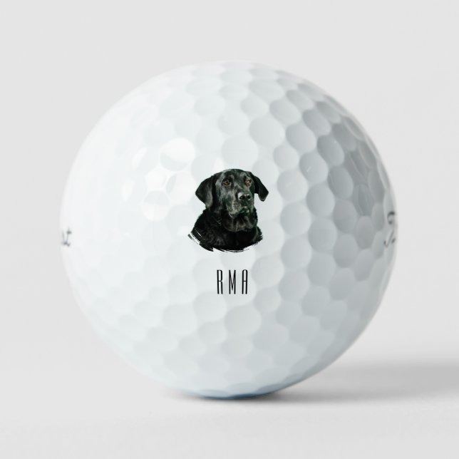 Chocolate Labrador Black Lab Golf Balls (Front)