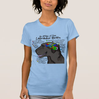 Chocolate Labrador Brain Atlas T-Shirt