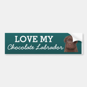 Chocolate Labrador Bumper Sticker