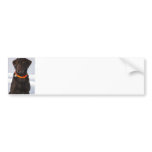 Chocolate Labrador Bumper Sticker