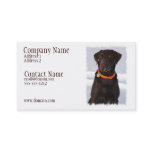 Chocolate Labrador Busines Card