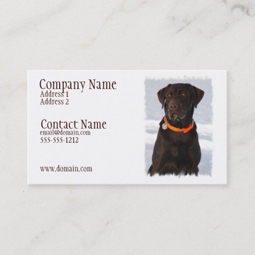 Chocolate Labrador Busines Card Business Cards