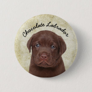 Chocolate Labrador Button