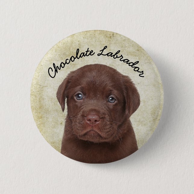 Chocolate Labrador Button (Front)