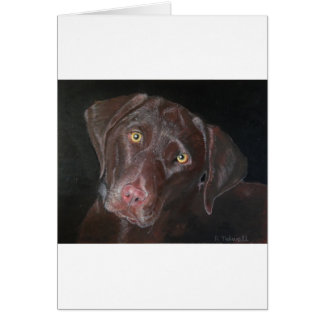 Chocolate Labrador Cards