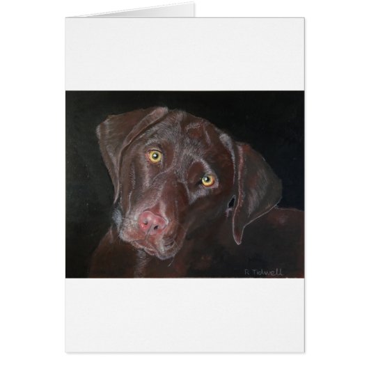 Chocolate Labrador Cards (Front)