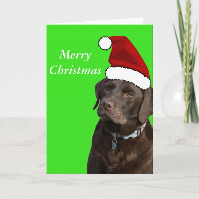 Chocolate Labrador Christmas Card (Front)