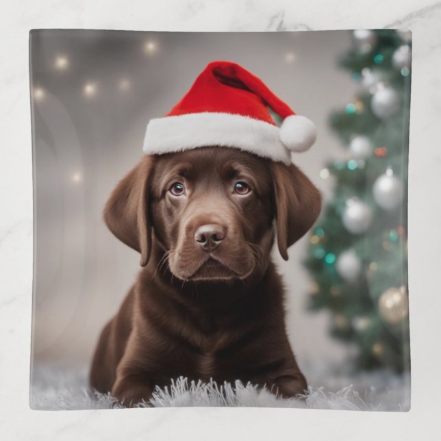 Chocolate Labrador Christmas Trinket Tray (Front)