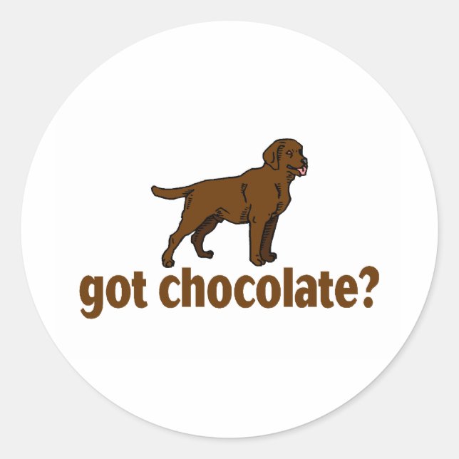Chocolate Labrador Classic Round Sticker (Front)