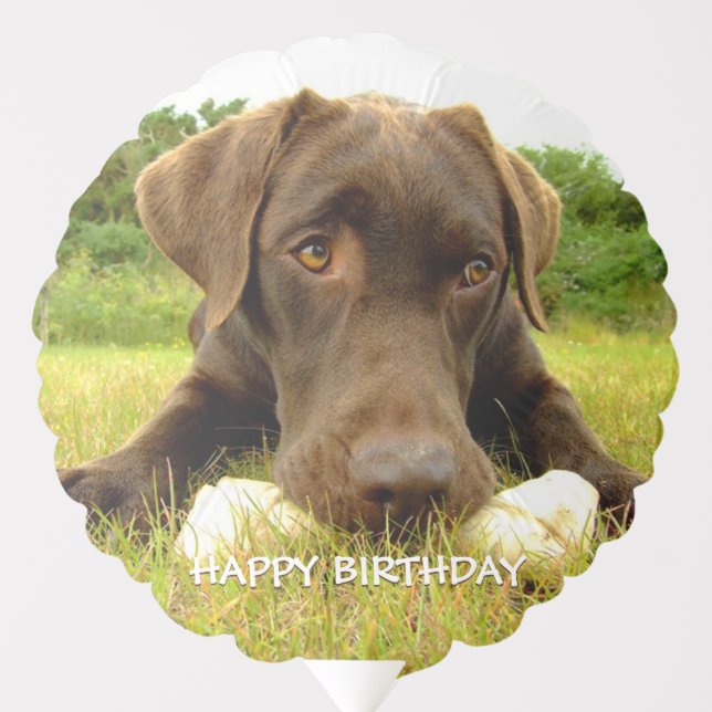 Chocolate Labrador Custom Balloon (Front)