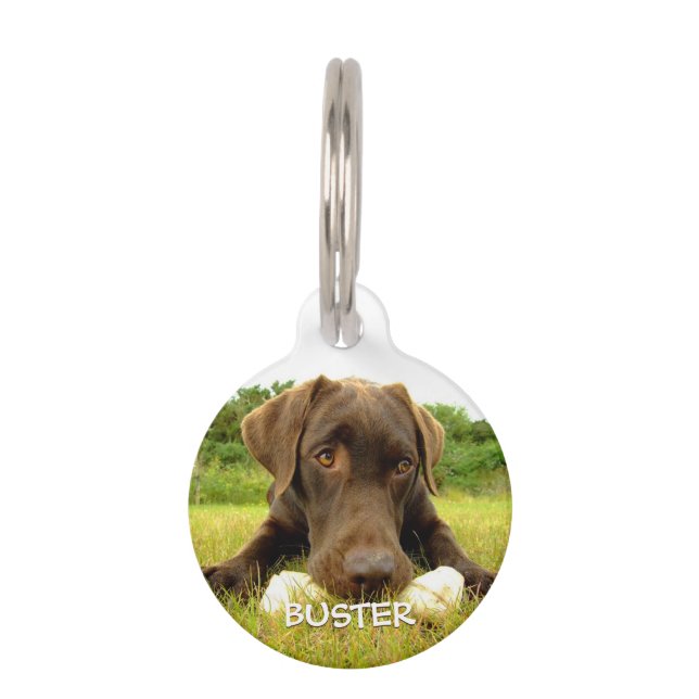 Chocolate Labrador Custom Pet ID Tag (Front)