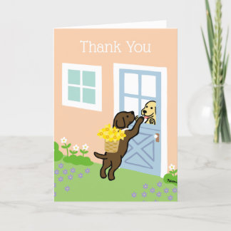 Chocolate Labrador Daffodils Spring Thank you Card
