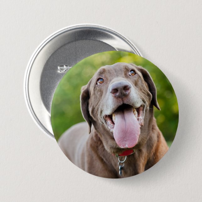 Chocolate Labrador Dog Button (Front & Back)