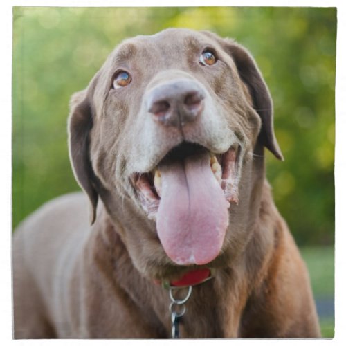 Chocolate Labrador Dog Cloth Napkin