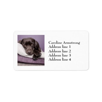 Chocolate Labrador Dog Custom Address Labels by roughcollie at Zazzle