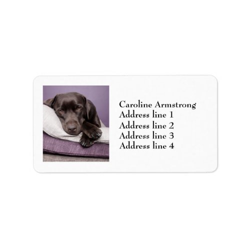 Chocolate labrador dog custom address labels