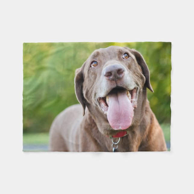 Chocolate Labrador Dog Fleece Blanket (Front (Horizontal))