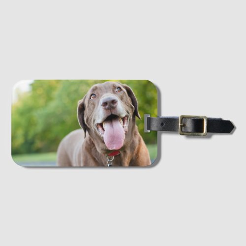 Chocolate Labrador Dog Luggage Tag