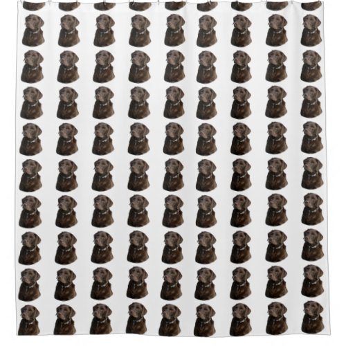 Chocolate Labrador dog pattern Shower Curtain