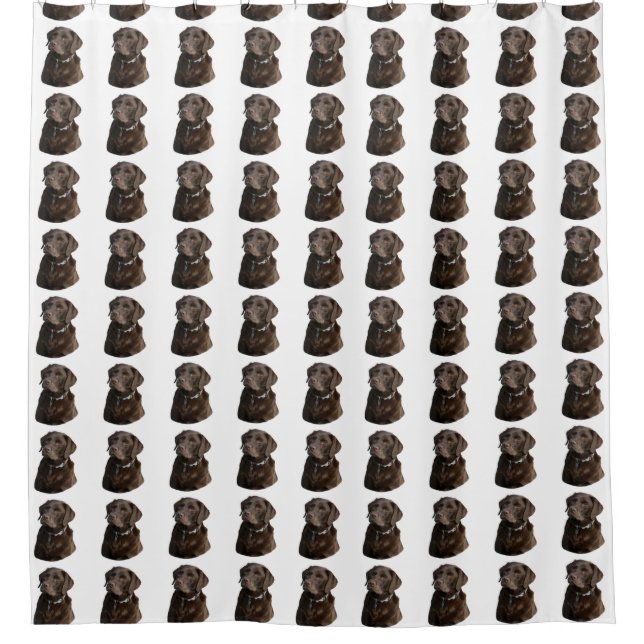 Chocolate Labrador dog pattern Shower Curtain (Front)