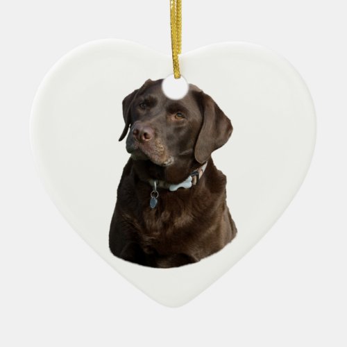 Chocolate Labrador dog photo portrait Ceramic Ornament